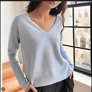 Aritzia Wilfred Cyprie V-Neck Sweater